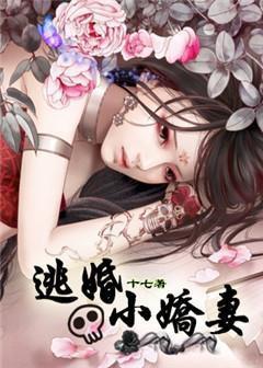 逃婚小娇妻错爱冰山总裁