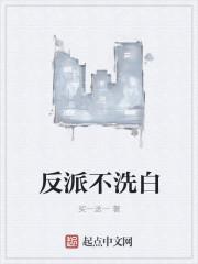 反派不洗白txt资源