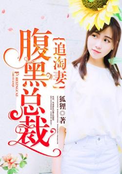腹黑总裁追妻免费全书