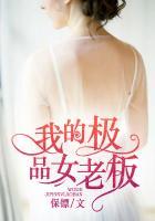 我的极品女老板无删减版在线观看免费视频