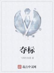 夺标进行曲