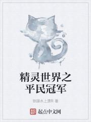 精灵之世界冠军