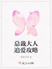 总裁大人追妻实录