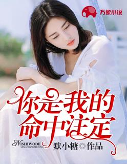 你是我的命中注定大结局剧情