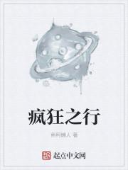 疯狂之书