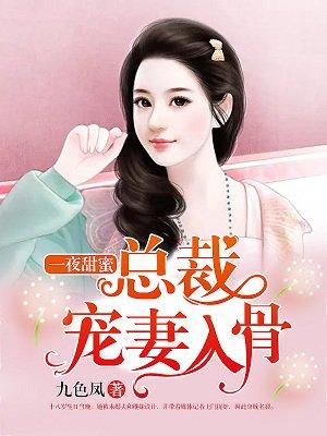 一夜甜蜜总裁宠妻入骨 九色凤