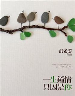 一生钟情只因你言忆安慕睿言