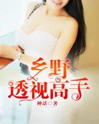 透视高手百度百科