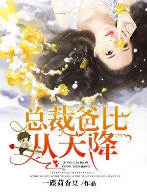 总裁爸比从天而降免费全文阅读