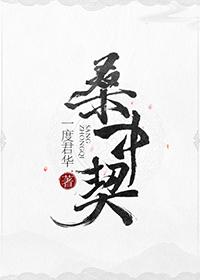 明月入君怀电视剧免费播放