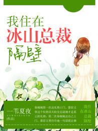 我住在冰山总裁旁边