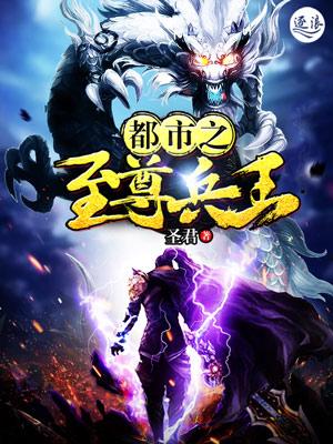 都市之至尊兵王叶龙韩清雪