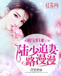 萌宝归来陆少追妻路漫漫免费