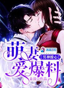 男神萌宝一锅端原著