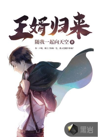 王婿无弹窗