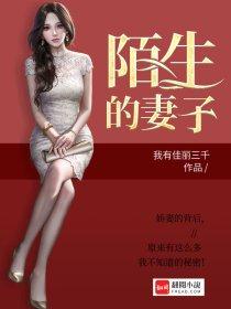 陌生的妻子苏晓晓免费阅读