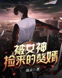 被女神捡来的赘婿短剧