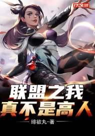 联盟之我真不是高人TXT百度