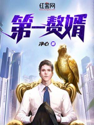 第一赘婿TXT