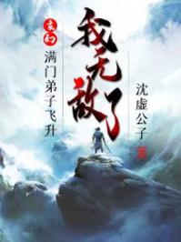 我无敌了 沈虚公子
