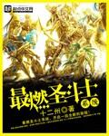 圣斗士排行榜