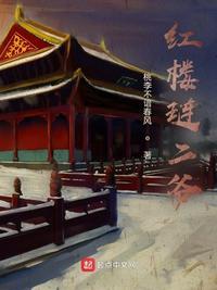 红楼琏二爷无弹窗 笔趣阁全本