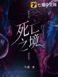 死亡之境TXT书包网