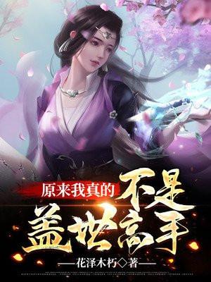 我真的不是盖世高人作者归心