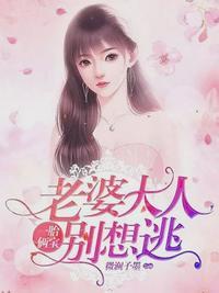 情定一生无悔过免费全部
