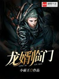 龙婿归来陈天龙