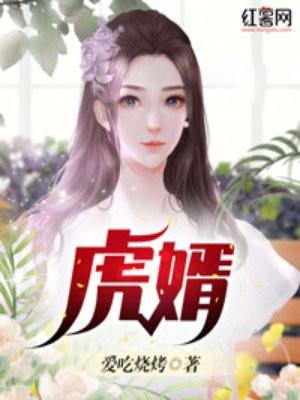 我不是虎婿
