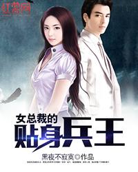 陆天龙女总裁的贴身兵王品书网免费阅读