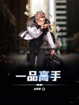 一品高手动漫