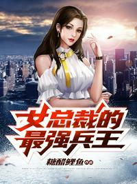 女总裁的最强兵王陈昊