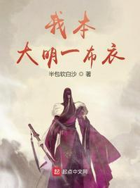 我本大名一布衣