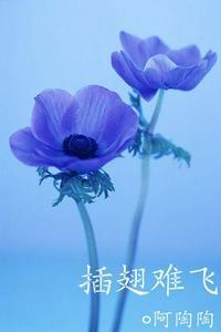 沈初云和陆进最后在一起了吗