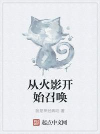 从火影开始收尸