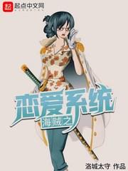 海贼之恋爱系统免费阅读