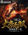 三国之无敌帝王