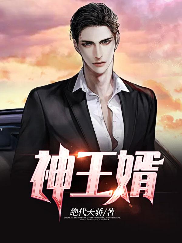 神王婿TXT