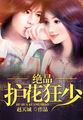 极品护花狂少