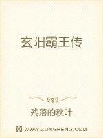 霸王群英传