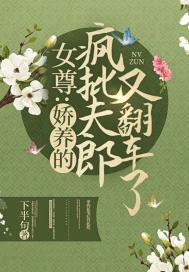 女尊娇养的疯批夫郎又翻车了 番外