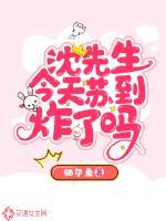 沈先生今天离婚了吗txt