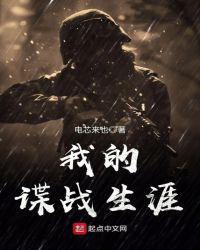 我的谍战生涯语音