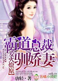 霸道总裁爱小娇妻