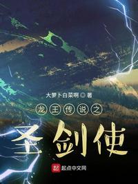 龙王传说圣剑使