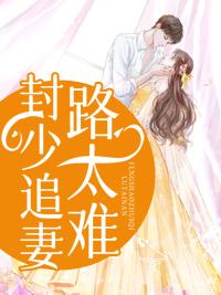 封少追妻路太难在哪看
