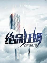 绝品狂婿 南野痴凝