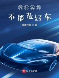 凭什么我不能造好车萧辉的车